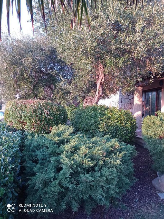 La Forma Dell'Acqua Bed & Breakfast Su Forti Екстериор снимка